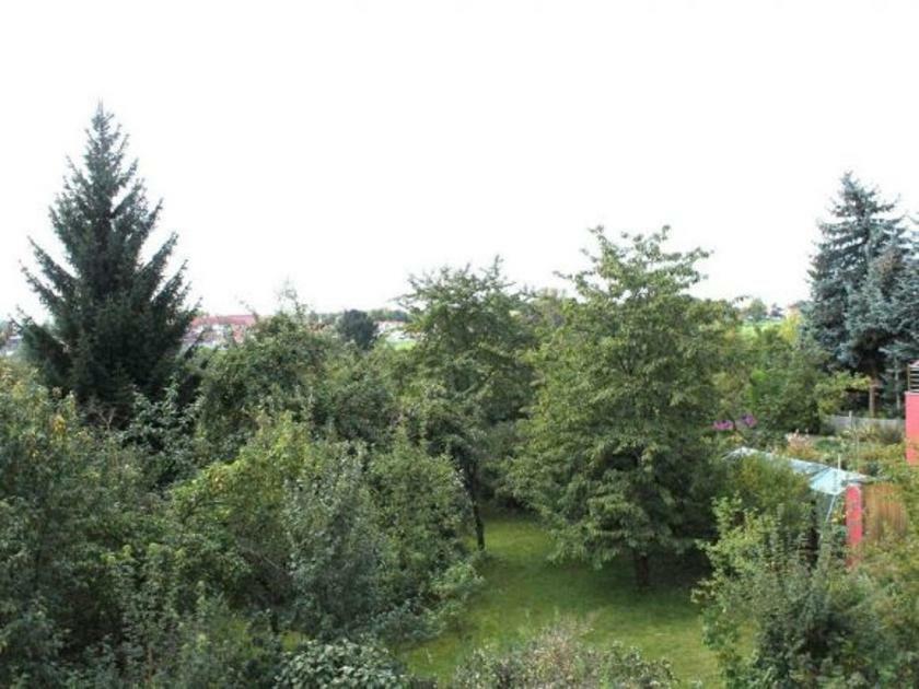 Exklusive Ferienwohnung An Der Elbe Дрезден Экстерьер фото